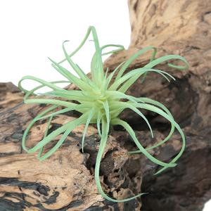 <span class=keywords><strong>Vendita</strong></span> della fabbrica di plastica succulenta falso Tillandsia <span class=keywords><strong>piante</strong></span> artificiali per la decorazione della casa - Product Image 1