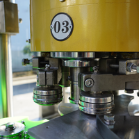 Machine de remplissage et de bouchage entièrement automatique pour boissons gazeuses en canettes et bouteilles en verre