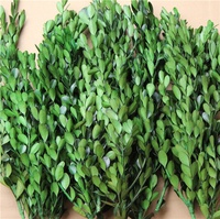 Desain Bunga Logam Buxus Microphylla yang Diawetkan untuk Perlindungan Kerajinan Rumah dan Taman, Harga Pabrik untuk Rumah Tangga