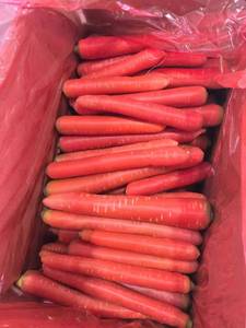Rau quả tươi xuất khẩu Hữu Cơ màu đỏ vàng cà rốt hạt giống giá cho bán buôn tươi Cà rốt - Product Image 6