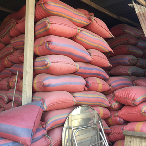 CHARBON DE BOIS DUR 2024 - Product Image 1