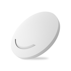 Oem Factory personalizzabile Openwrt Wifi Ap 300Mbps <span class=keywords><strong>2</strong></span>.4Ghz Poe Hotel Home soffitto interno Ap Wireless 300M punto di accesso - Product Image 3