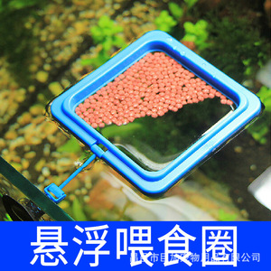 Anillo de alimentación cuadrado azul para pecera, alimentador flotante para comida de peces de acuario - Product Image 2