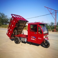 Tricycle commercial de fret de 300 cm³ à moteur essence, tricycle à moteur essence, docker rized, tricycle commercial rized