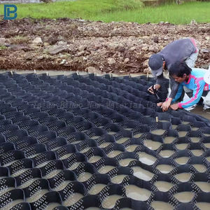 เครื่องปูพื้นด้วยพลาสติกใช้กลางแจ้งระบบ Geo Grid Stabilizer ด้วยการออกแบบโมเดล3D - Product Image 5