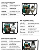 Pompe à eau portable agricole 5 CV à moteur essence 2/3 pouce pour transfert d'eau et irrigation de jardin