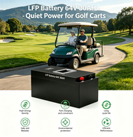 Batterie de remplacement TSX Power pour moto, 64V 30Ah LiFePO4, pack de batteries au lithium pour scooter électrique, 1200 cycles