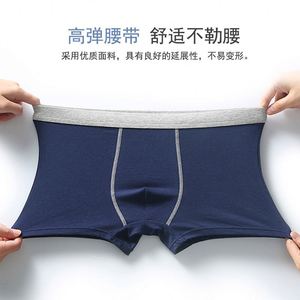 Caleçons en coton respirants et confortables pour hommes grandes tailles, style décontracté et ample, pour hommes corpulents, vente en gros - Product Image 3