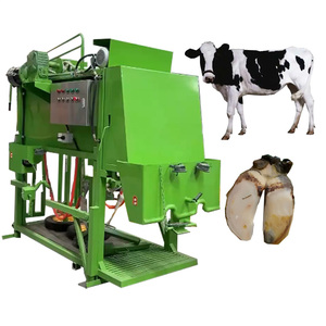 Machine à tailler les sabots en acier robuste avec système <span class=keywords><strong>de</strong></span> retenue réglable, <span class=keywords><strong>sol</strong></span> antidérapant et conception à ouverture latérale pour l'élevage laitier - Product Image 5