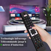 Télécommande RCA4995 de remplacement pour Hyundai/QILIVE/Digihome/TELECO/Edenwood/Telefunken/Continental Edison RC-A4995 RC4995 RC-4995