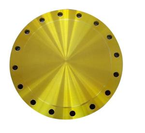 Bride de levage BL ANSI B16.5 Classe 300 Bride forgée Bride aveugle Peinture noire - Product Image 3