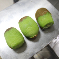Fabrieksdirect zware industriële fruitenschiller voor sinaasappel, citroen, passievrucht, appel en citrusvruchten