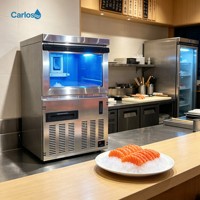 Machine à glace pilée Carlos de qualité supérieure, encastrable, avec boîtier en acier inoxydable, pour restaurants japonais