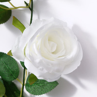 Nouvelle Collection 2023 : Lierre Artificiel en Plastique, Feuilles Vertes Décoratives pour Plafond, Idéal Saint-Valentin, Pâques, Noël, Remise de Diplôme