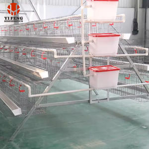 Equipo Avícola para Cría de Pollos, Jaulas para Gallinas Ponedoras Tipo A, Galvanizadas, Anticorrosivas, de Alta Densidad para Granjas Comerciales de Huevos - Product Image 2