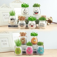 Boneka rumput panjang Modern ramah lingkungan ekspresi keren kreatif pot ornamen hadiah DIY menanam Ion negatif hidroponik