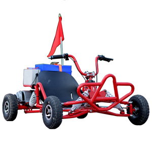 Kart électrique tout-terrain 48V 500W 20A pour adultes et enfants, buggy des dunes - Product Image 1
