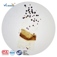 Microscope Prepared Slides Hot Sale 10pcs Mixed Different Fungi Microbiology Slides