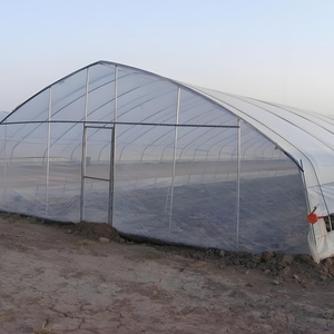 Serra economica del Tunnel commerciale del cerchio agricolo 20-100m pellicola di plastica pomodoro verde casa