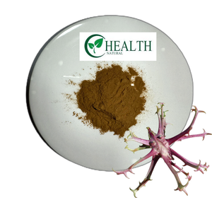 100% 천연 식물 추출물 악마의 발톱 추출물 harpagophy procunbens 추출물 - Product Image 1