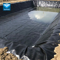 Géomembrane HDPE double texture robuste OBOR 0,3 mm/0,5 mm/1 mm pour fermes de crevettes, sites industriels, respectueuse de l'environnement, anti-UV