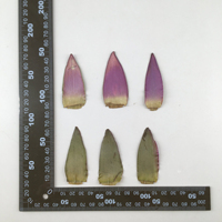 Petali di Ninfea Pressati Naturali Viola con Resina Epossidica per Gioielli Fai da Te, Petali di Ninfea Essiccati per Decorazioni di Gioielli