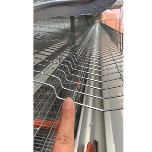 Gallinas <span class=keywords><strong>de</strong></span> <span class=keywords><strong>gallo</strong></span> automáticas Capa <span class=keywords><strong>de</strong></span> cría mixta Jaula <span class=keywords><strong>de</strong></span> batería <span class=keywords><strong>de</strong></span> pollo Equipo <span class=keywords><strong>de</strong></span> cría para poner Pollo <span class=keywords><strong>de</strong></span> 20000 capas - Product Image 4