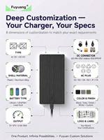 Cargador de Batería de Litio Fuyuang 42V 2A 3A 4A 5A para Paquete de Baterías de Iones de Litio 10S 36V, Cargador para Bicicleta Eléctrica, Scooter, OEM ODM
