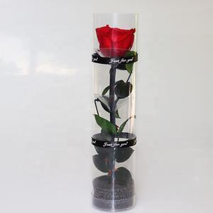 Source d'herbe à longue tige, <span class=keywords><strong>rose</strong></span> <span class=keywords><strong>blanche</strong></span>, <span class=keywords><strong>rose</strong></span> conservée, cadeau de promotion, bon marché, offre spéciale - Product Image 1