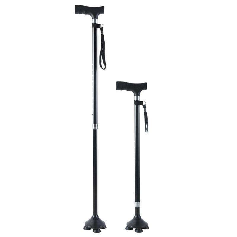 Dos pequeños de cuatro patas