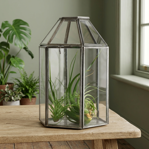 Terrario Moderno de Vidrio, Forma Pentagonal, Contenedor para Plantas de Interior, Diseño Minimalista de Escritorio, Marco de Vidrio Transparente - Product Image 2