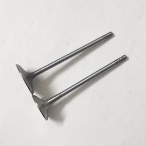 55194219 55200334 55219143 55200335 55200422 soupape d'échappement d'entrée pour <span class=keywords><strong>Fiat</strong></span> 55219144 <span class=keywords><strong>GRANDE</strong></span> <span class=keywords><strong>PUNTO</strong></span> 500 1.4 A4.000 169 A4.000 - Product Image 3