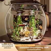 Petit aquarium écologique de bureau, bol transparent pour tortues et poissons rouges, pot hydroponique pour la décoration de salon, bureau et maison