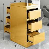 Chariot de salon de coiffure professionnel Win Plus en acier inoxydable, design moderne doré, roulettes universelles pour un déplacement facile