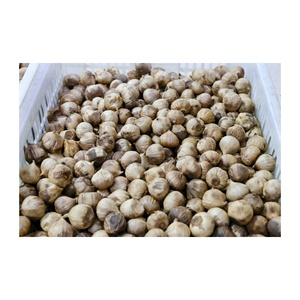 <span class=keywords><strong>Ail</strong></span> noir cuit au four au goût naturellement sucré, fournisseur d'emballages et d'étiquettes personnalisés pour l'<span class=keywords><strong>ail</strong></span> noir fermenté <span class=keywords><strong>pelé</strong></span> et <span class=keywords><strong>non</strong></span> <span class=keywords><strong>pelé</strong></span> - Product Image 2