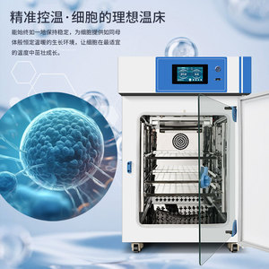 RUYI CO2 Incubator 85L160L195L Box Type Laboratory Cell Culture Chamber With Humidity Control - Product Image 3