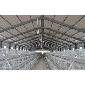 Cadre de portail préfabriqué à faible coût Structure en acier Construction Hangar pour volailles Bâtiment de ferme de poulet hangar de maison