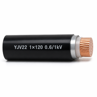 Câble d'alimentation YJV22 CU/XLPE/STA/PVC 1*120 0,6/1kV, conducteur en cuivre, blindage en bande d'acier, gaine en PVC, norme IEC