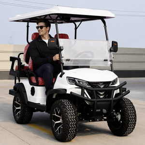 Carrito de Golf Eléctrico Elevado, Scooter de Golf de Litio de 4 Plazas, Buggy de Golf para Caza - Product Image 3
