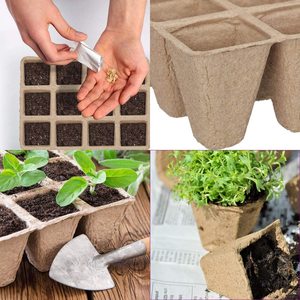 Pot de plantation biologique, Kit de semis biodégradables, plantes d'intérieur et d'extérieur, graines, coupelle de démarreur, plateaux de Germination, papier, pulpe, Pot de tarte - Product Image 2