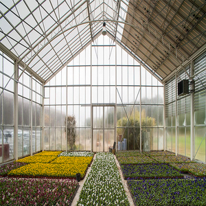 Commercial Twin Wall Polycarbonate Greenhouse Heavy Duty Galvanized Steel Frame Vertical Agriculture Growing Facility - Product Image 5