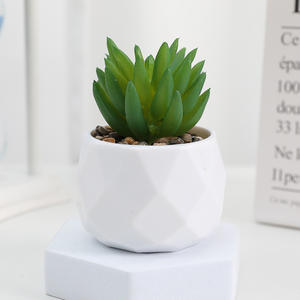 Petites plantes succulentes artificielles en <span class=keywords><strong>plastique</strong></span>, décorations de table de salon, fleurs artificielles durables, verdure - Product Image 6