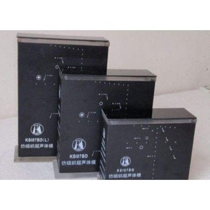 GWJ GWJ-40 เครื่องมือสอบเทียบเทอร์โมมิเตอร์แบบราง หัววัดขนาด 200 มม. อินเทอร์เฟซ USB สำหรับจัดเก็บข้อมูล ผลิตในจีน - Product Image 2