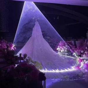 Lazer de boda de alta potencia 20W efecto Cenicienta 1500W máquina de nieve y niebla Lazer RGB luces láser de boda - Product Image 2