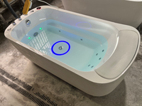 Baignoire autoportante chauffée pour adultes avec cascade LED, température constante, coussin de massage à bulles, spa