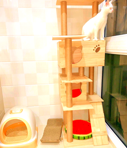 Grande Albero per Gatti di Lusso in Legno con Giocattolo Staccabile Lavabile, Tiragraffi in Sisal, Cuccia per Gatti Quattro Stagioni - Product Image 5