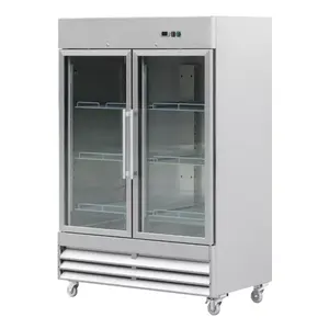 Restaurant Commercial American Style 110V Double Door Refrigerator Freezer Freezer Fridge Refrigerators Cart