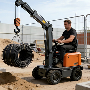 Mini <span class=keywords><strong>Gru</strong></span> Elettrica Semovente con Braccio Telescopico - Product Image 3