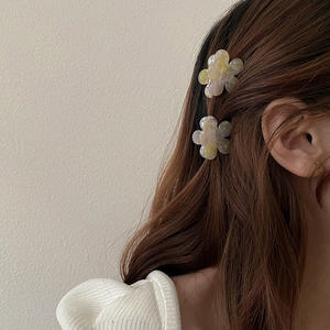 Vente en gros de <span class=keywords><strong>mini</strong></span> pinces à cheveux en forme de mâchoire, pinces à cheveux hautes en forme de <span class=keywords><strong>crabe</strong></span>, pinces à cheveux en forme de pieuvre, petites pinces à cheveux en plastique acétate, pinces à cheveux papillon pour femmes - Product Image 5