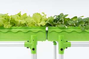Grand système hydroponique de verdure avec aquarium pour la culture de légumes à feuilles - Product Image 3